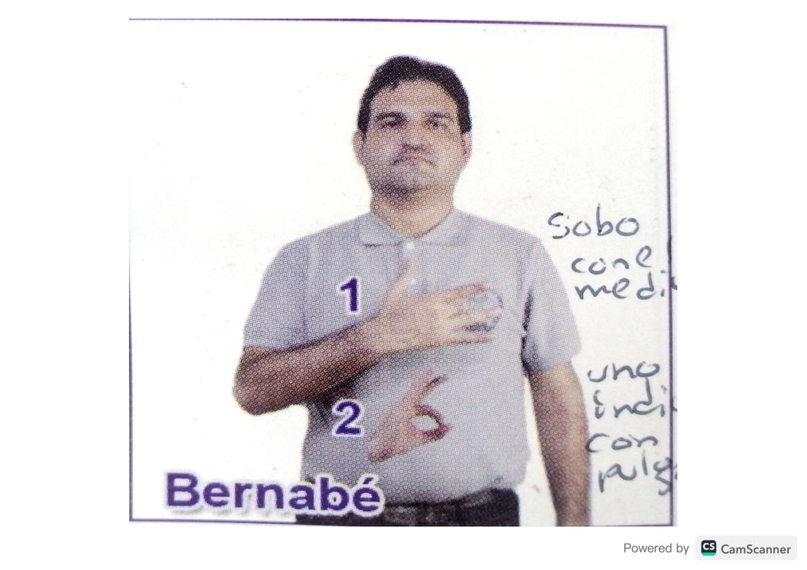 Página 203