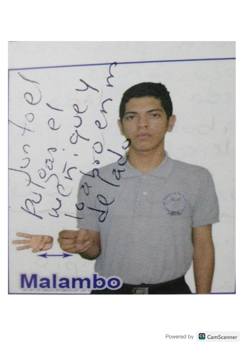 Página 61